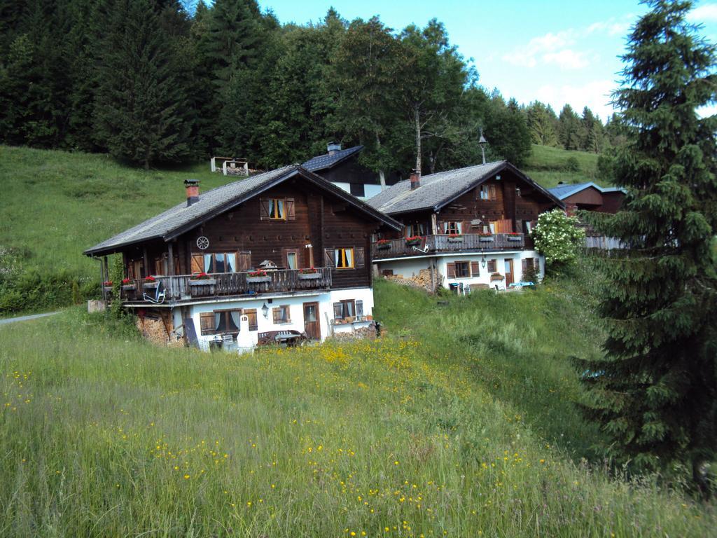 Ferienwohnungen Im Blockhaus Metzler Schwarzenberg im Bregenzerwald Exterior foto